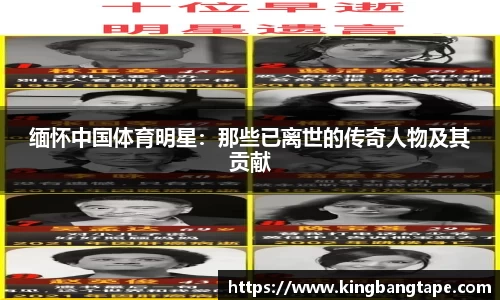 半岛bob·官方网站