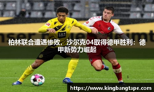 BoB半岛·体育中国官方网站