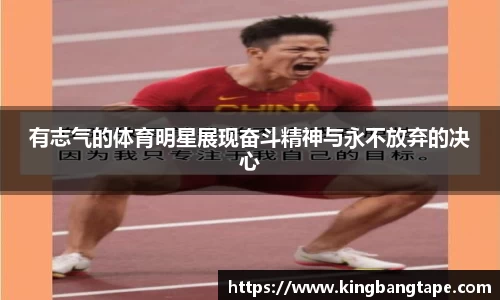 半岛bob·官方网站