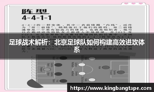 半岛bob·官方网站