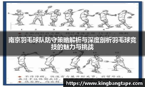 半岛bob·官方网站